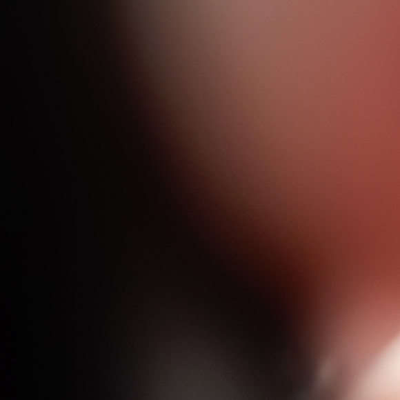 Elegant Cream Tie-Waist Blazer - Picture 6 of 7